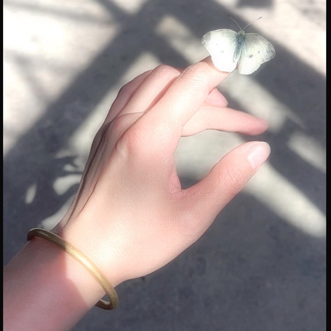 ♛是暖暖啊