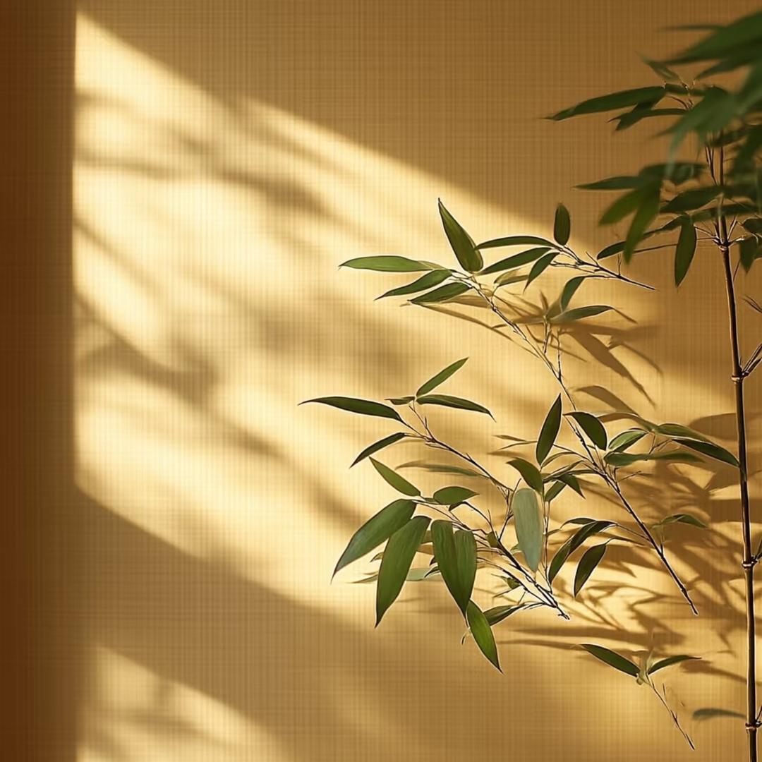 知行小院