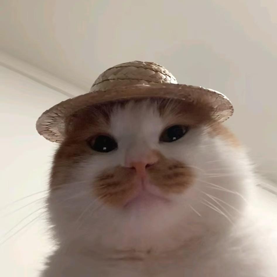 Nnnnnn