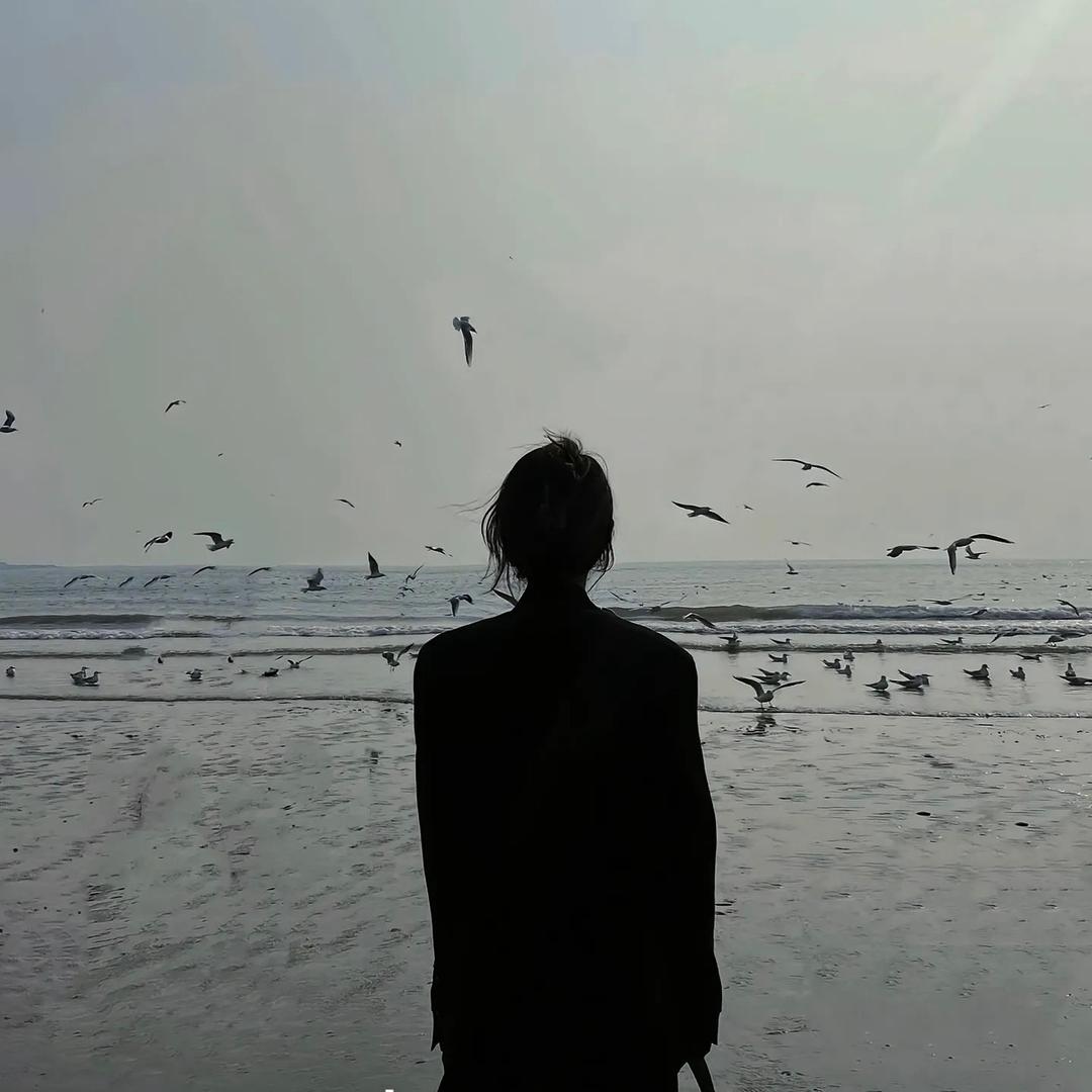 会记住小楊吗ོ💔