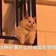 尤衣酱——不求上进版