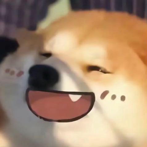 黑皮