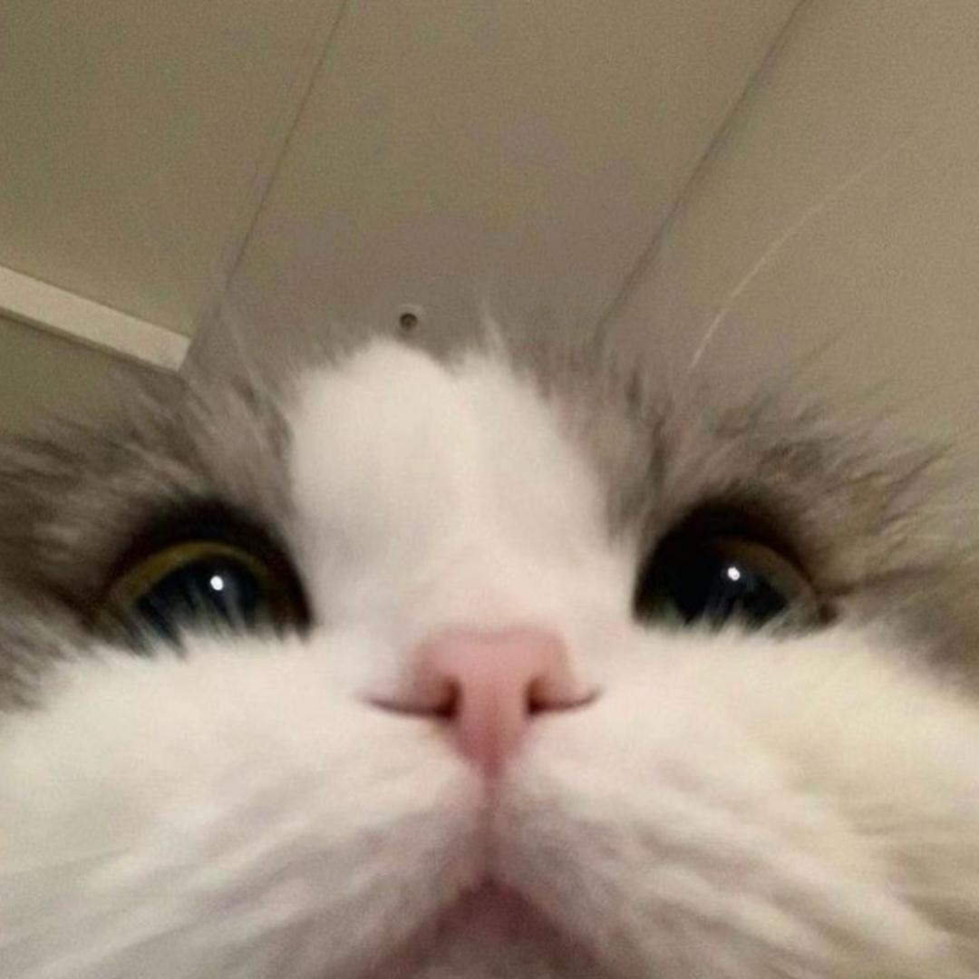1u