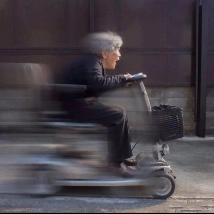 舒舒