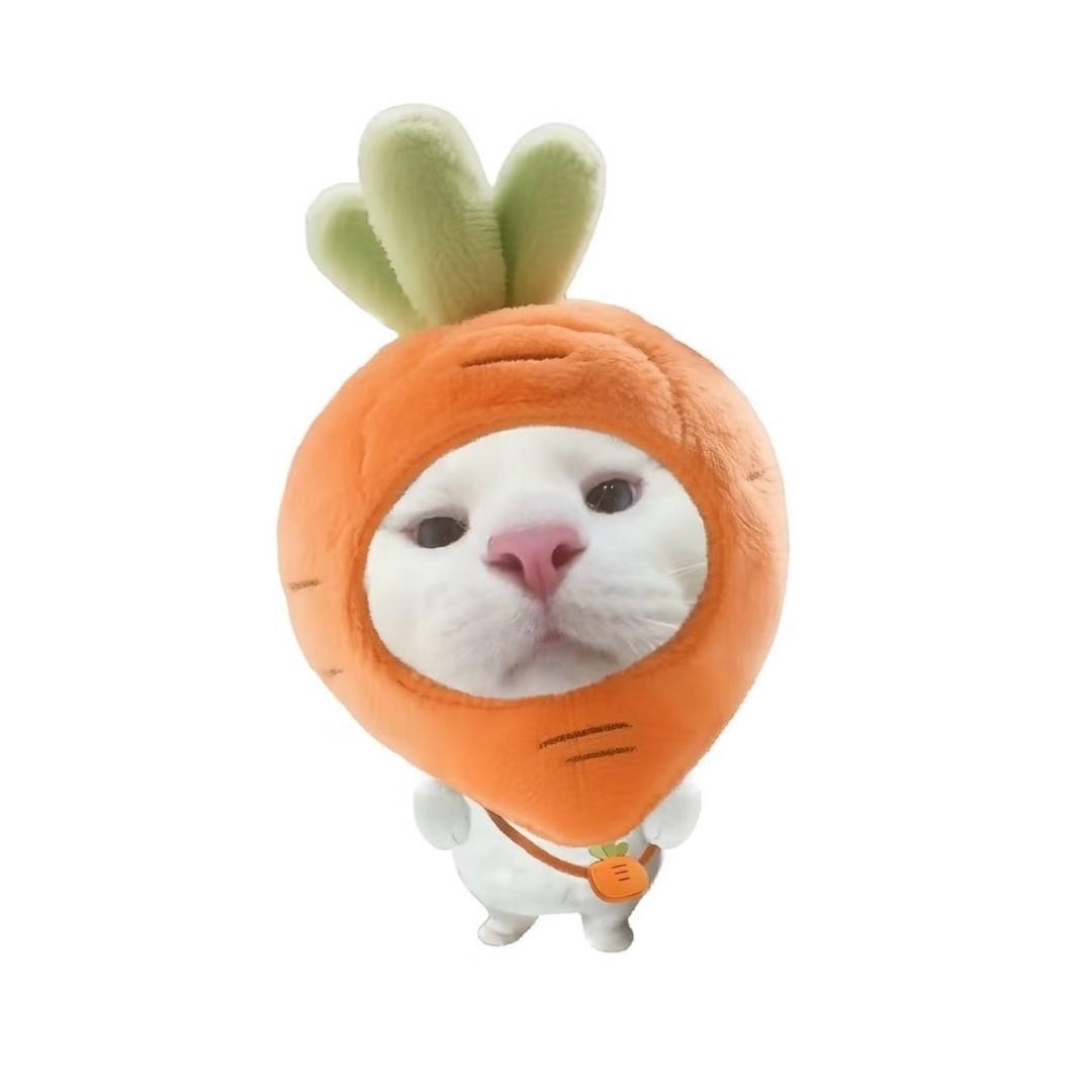 睡觉了🥕