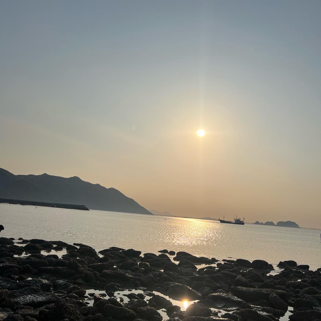 莱一颗菜