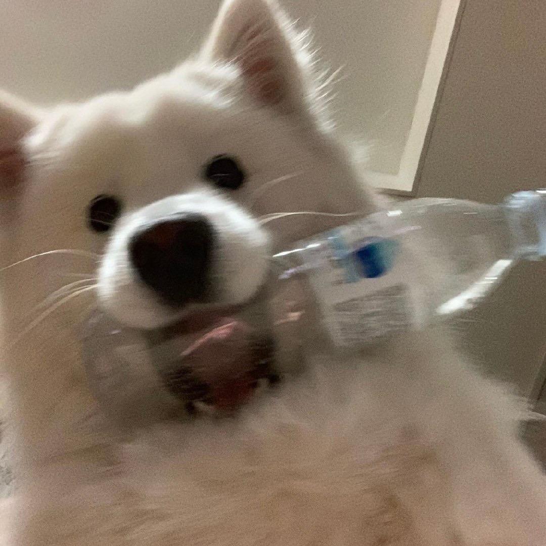 123/