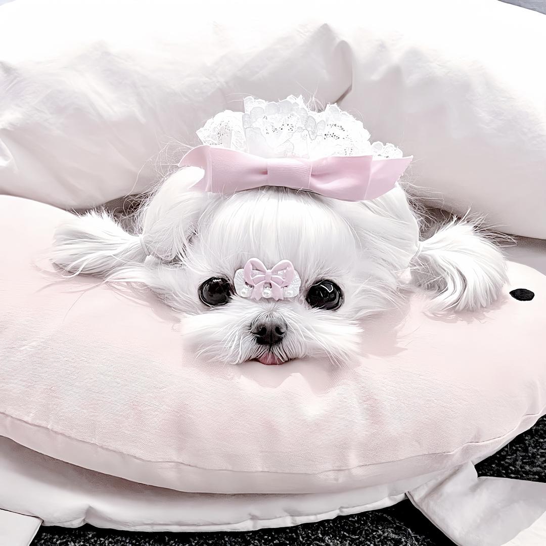 小菡神