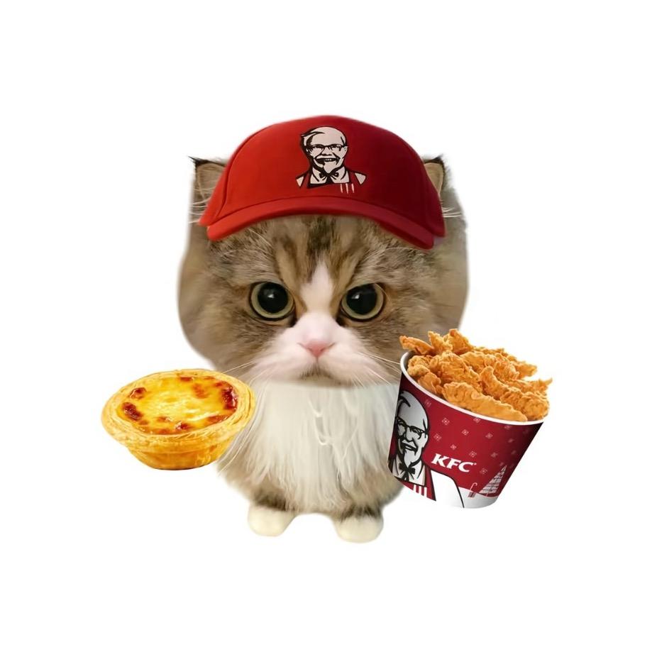 L.T