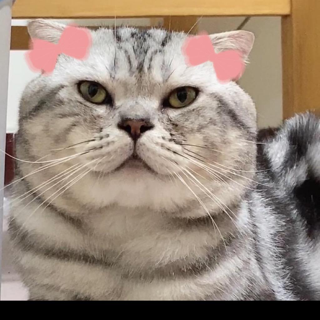 大包子的吃饭日记