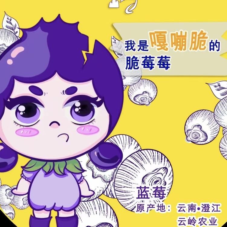 云岭蓝莓有机种植基地