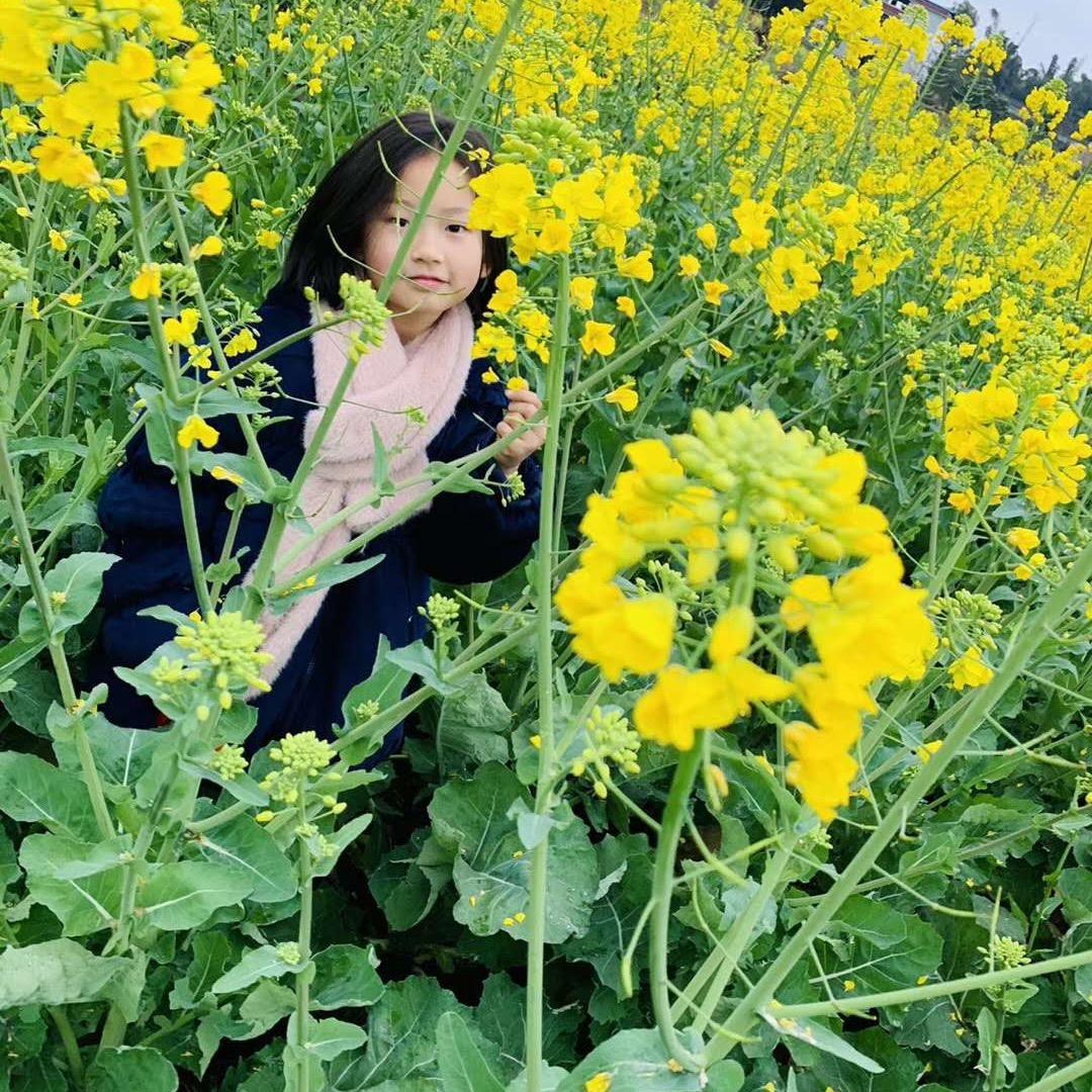 妹仔