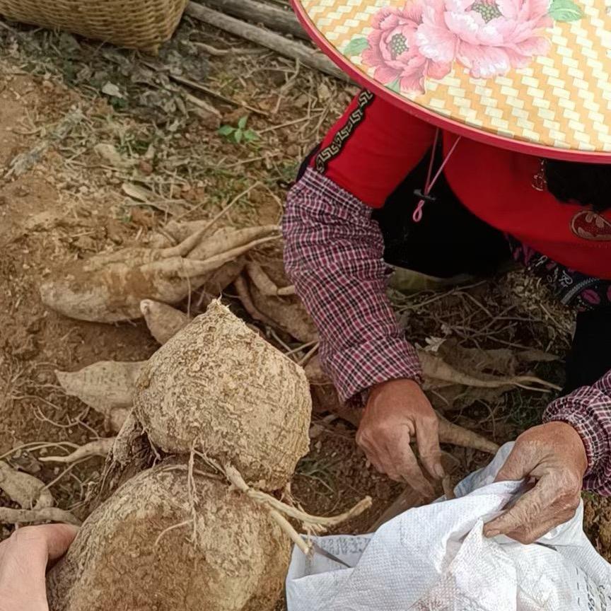 已注销