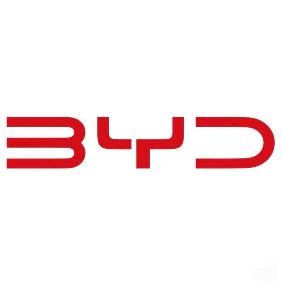 海洋海豚-比亚迪