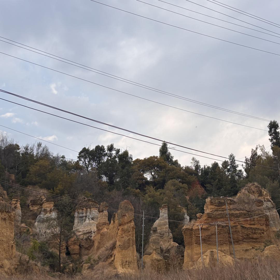 小小多肉法师花卉