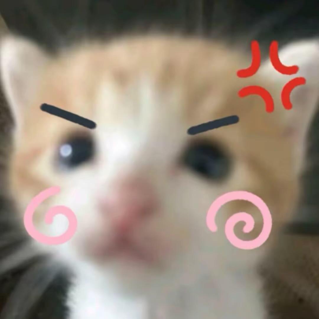 崩子大王