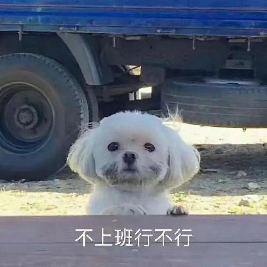 天黑黒