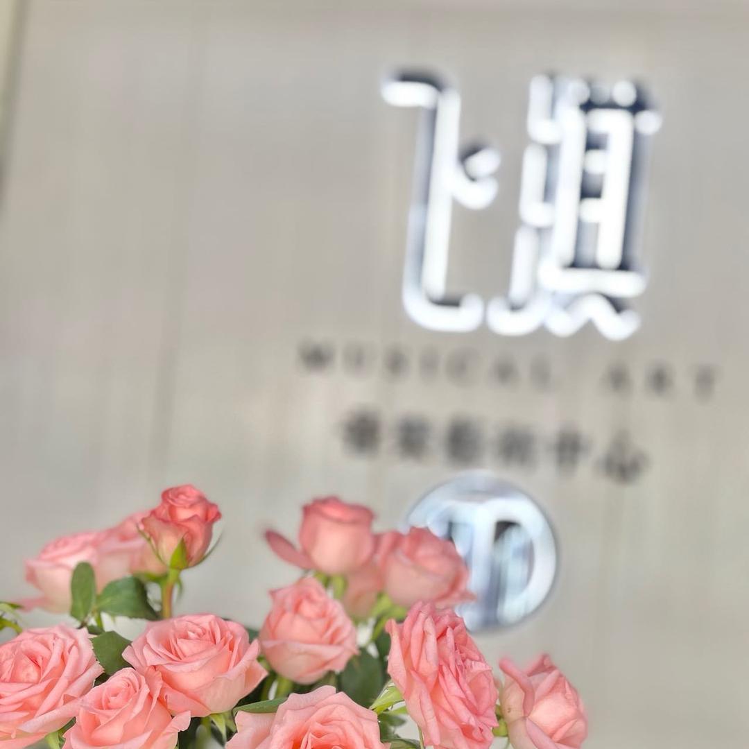 飞淇音乐艺术中心官方号