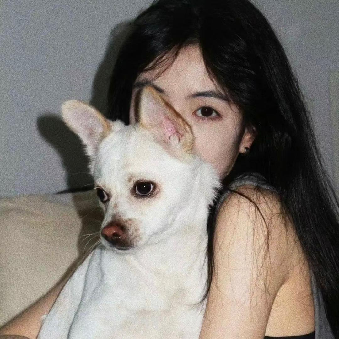 藏猫猫