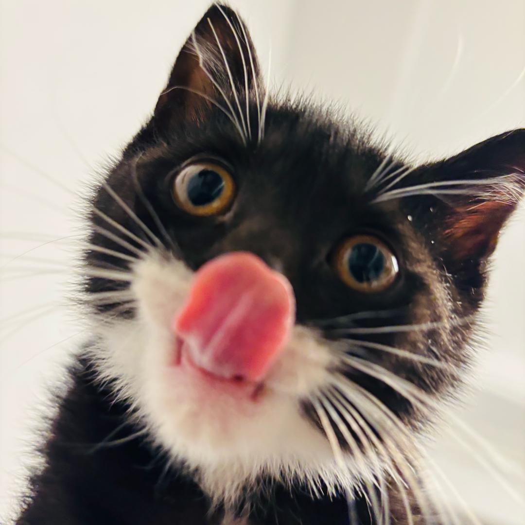 不止偷看你一个