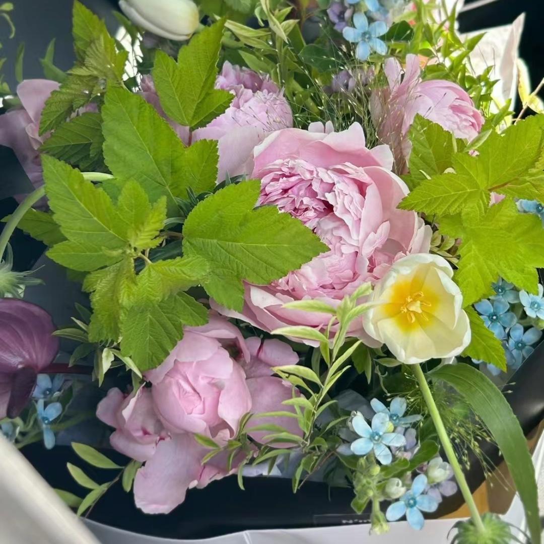 兰精灵🧚‍♀️