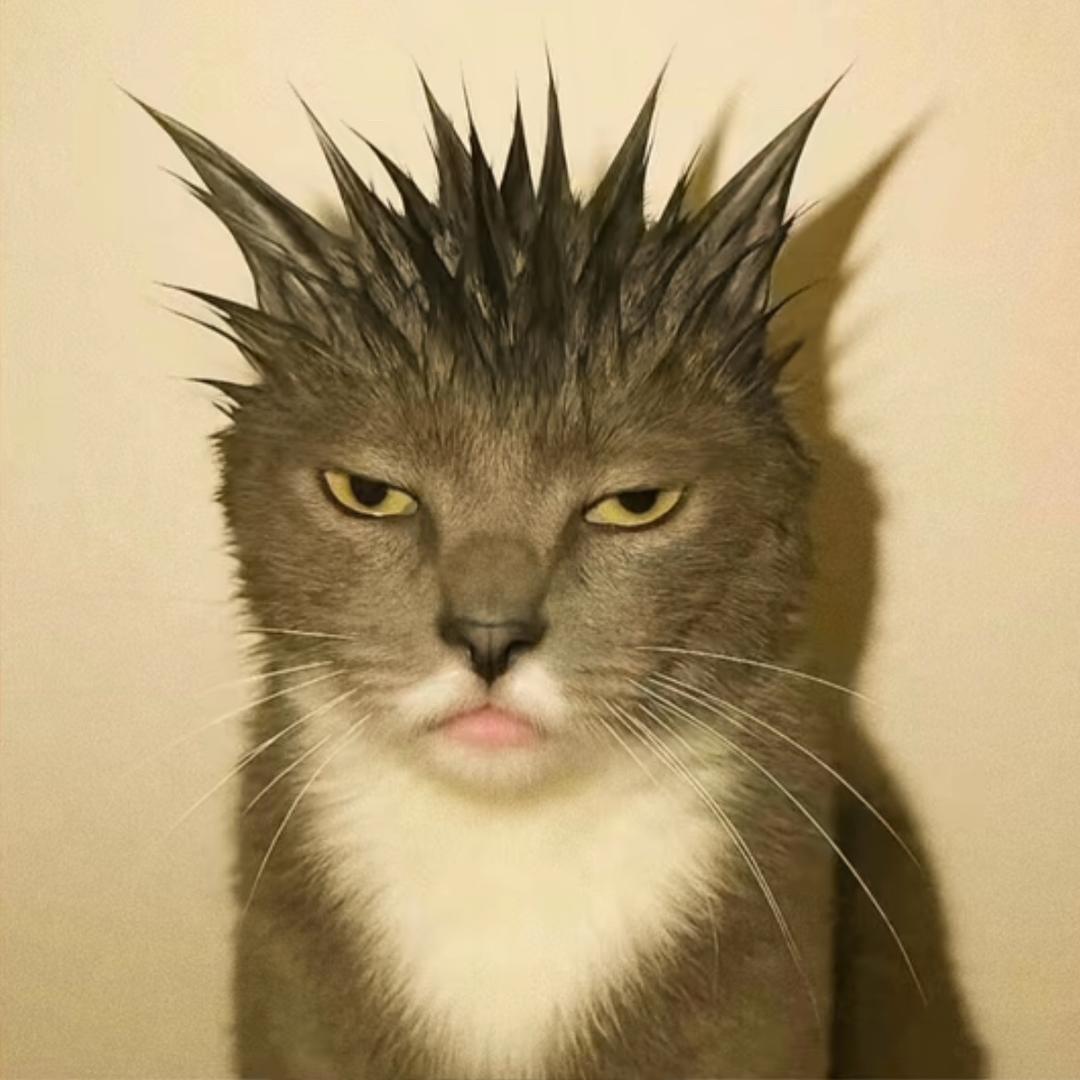 鸡圈里偷鸡蛋被老母鸡追着叨