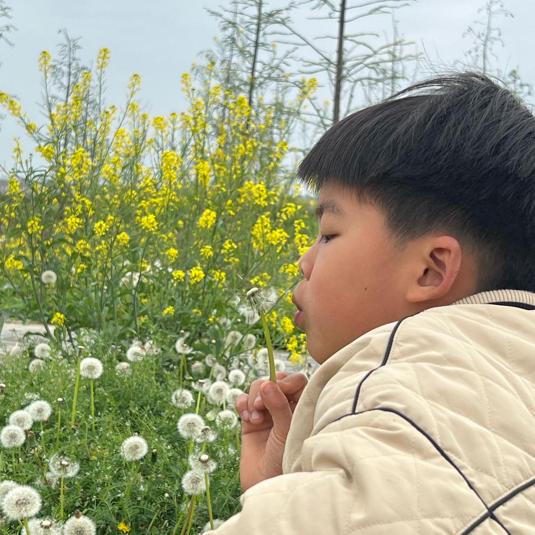 乡村小周