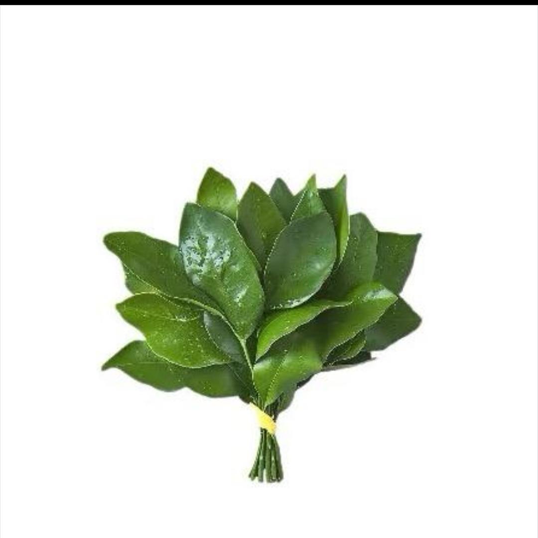 翻斗花园小美.
