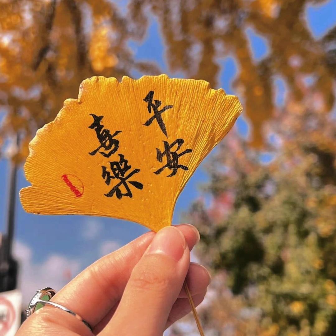 🌻໑ຼₒ₂5ღ᭄快乐要紧🕊꧔