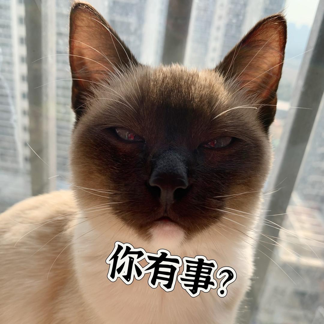 嘿^布丁^
