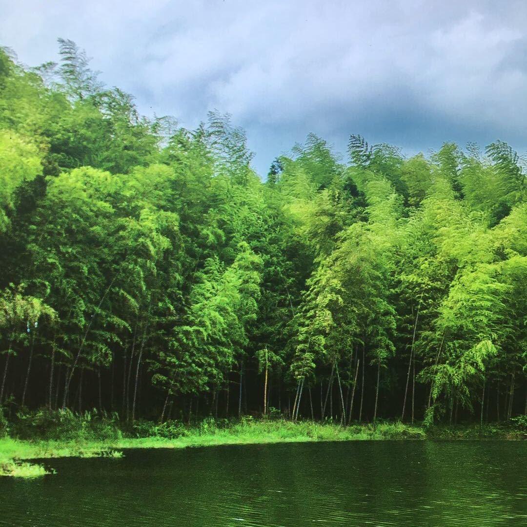🌈河南人在孝感