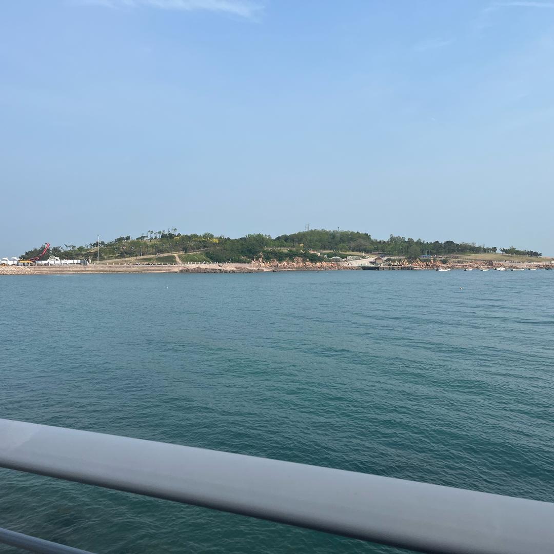 刘大茂