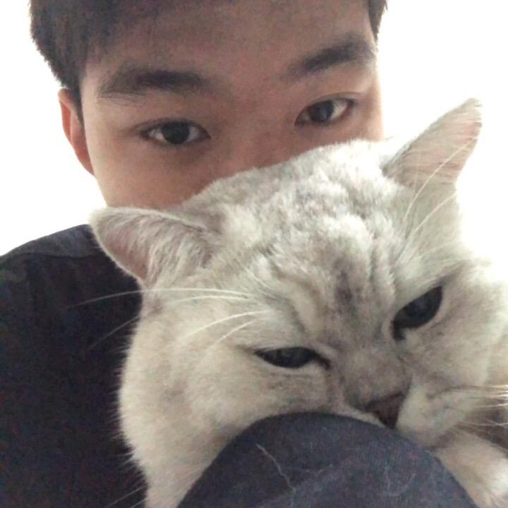 温顺的大熊猫