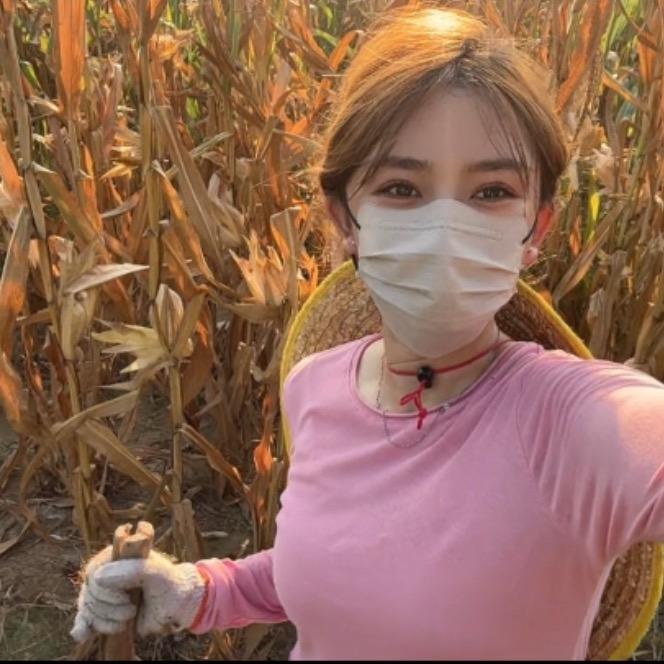 阿芦