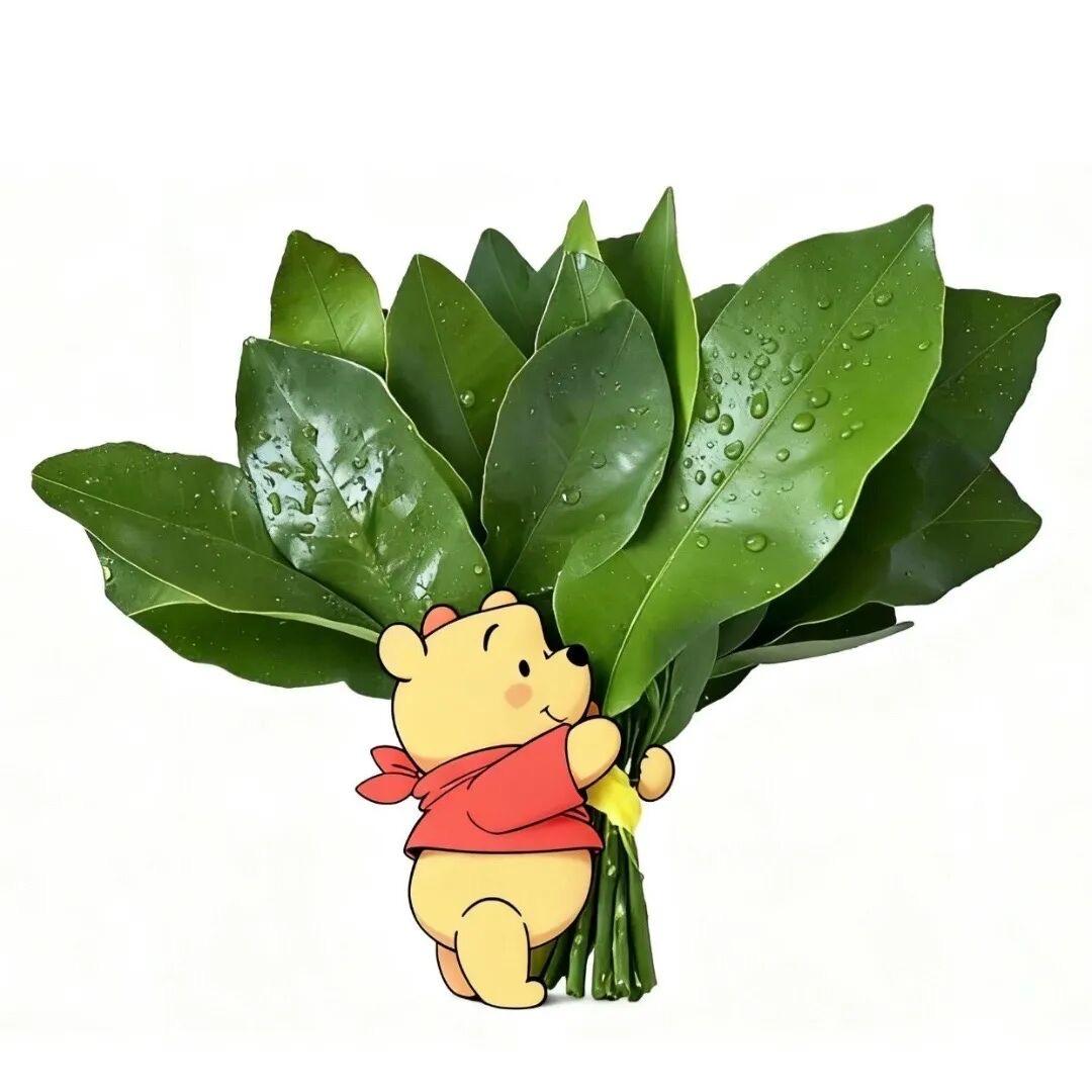 一口一个懒羊羊(卦师)