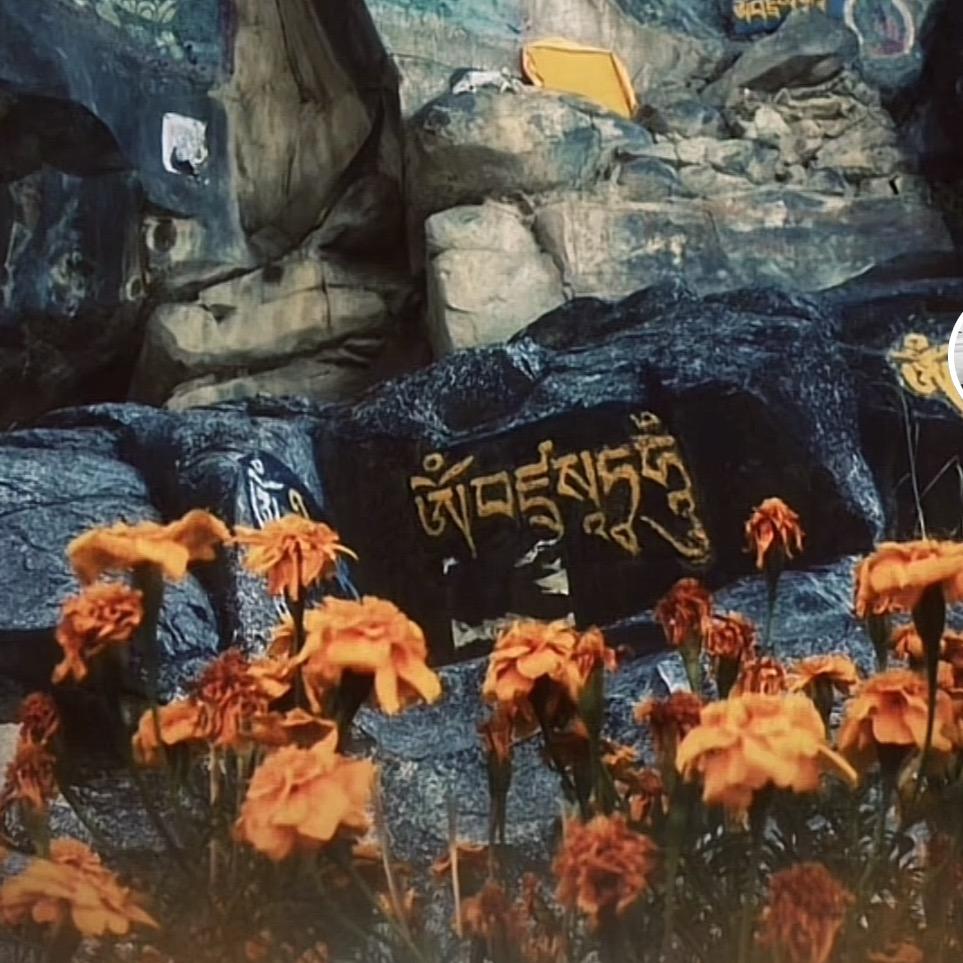 东达措姆努力号✊