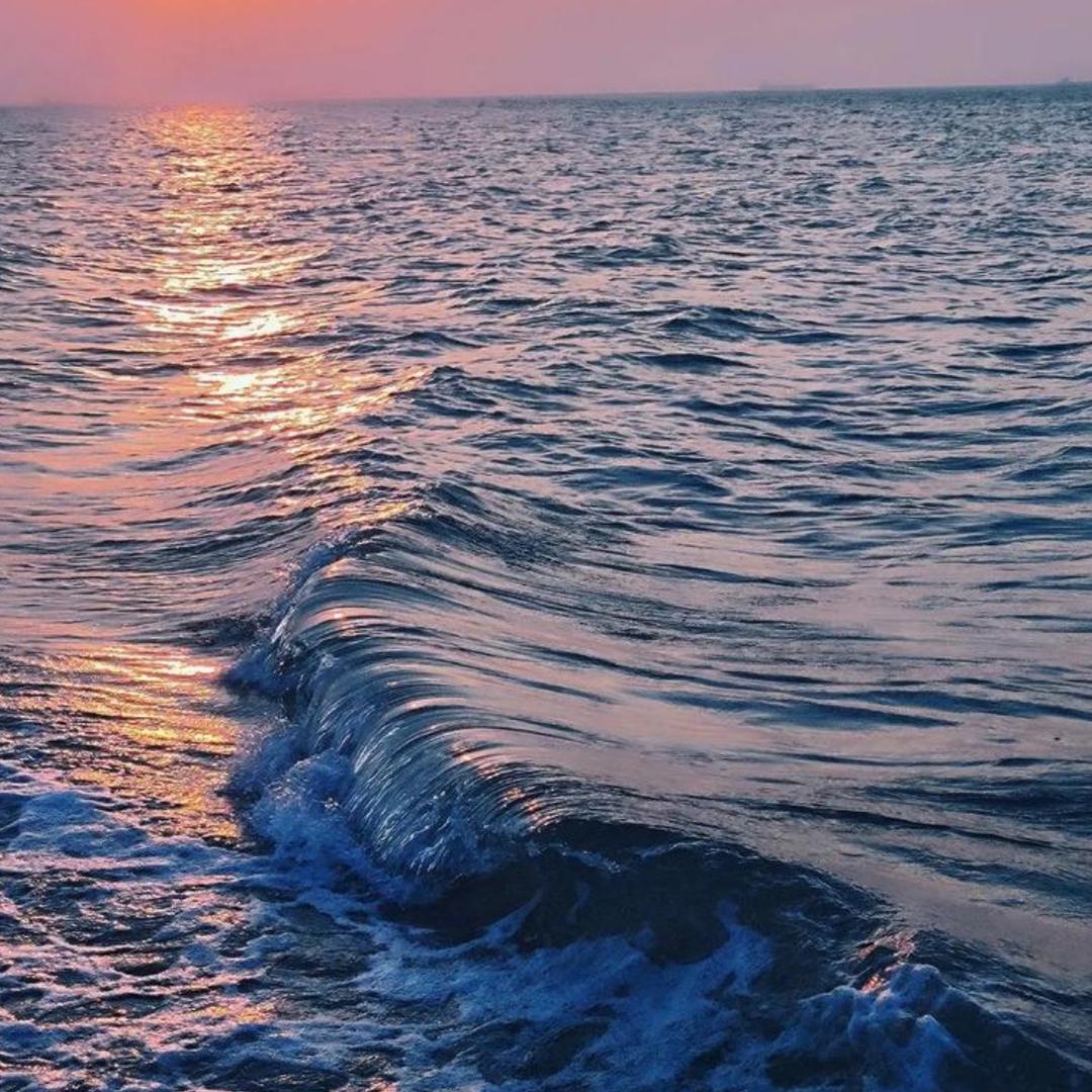 海洋老师聊康养