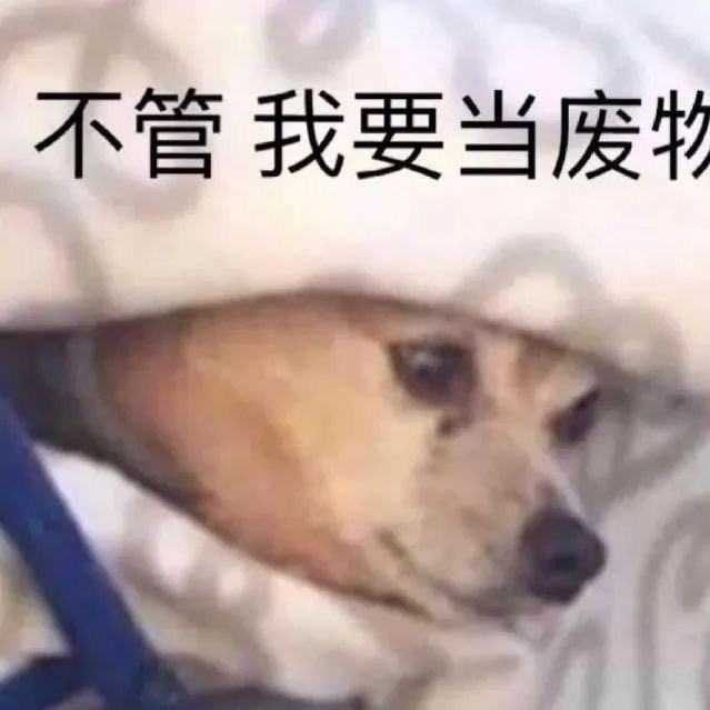 西瓜两点都不甜