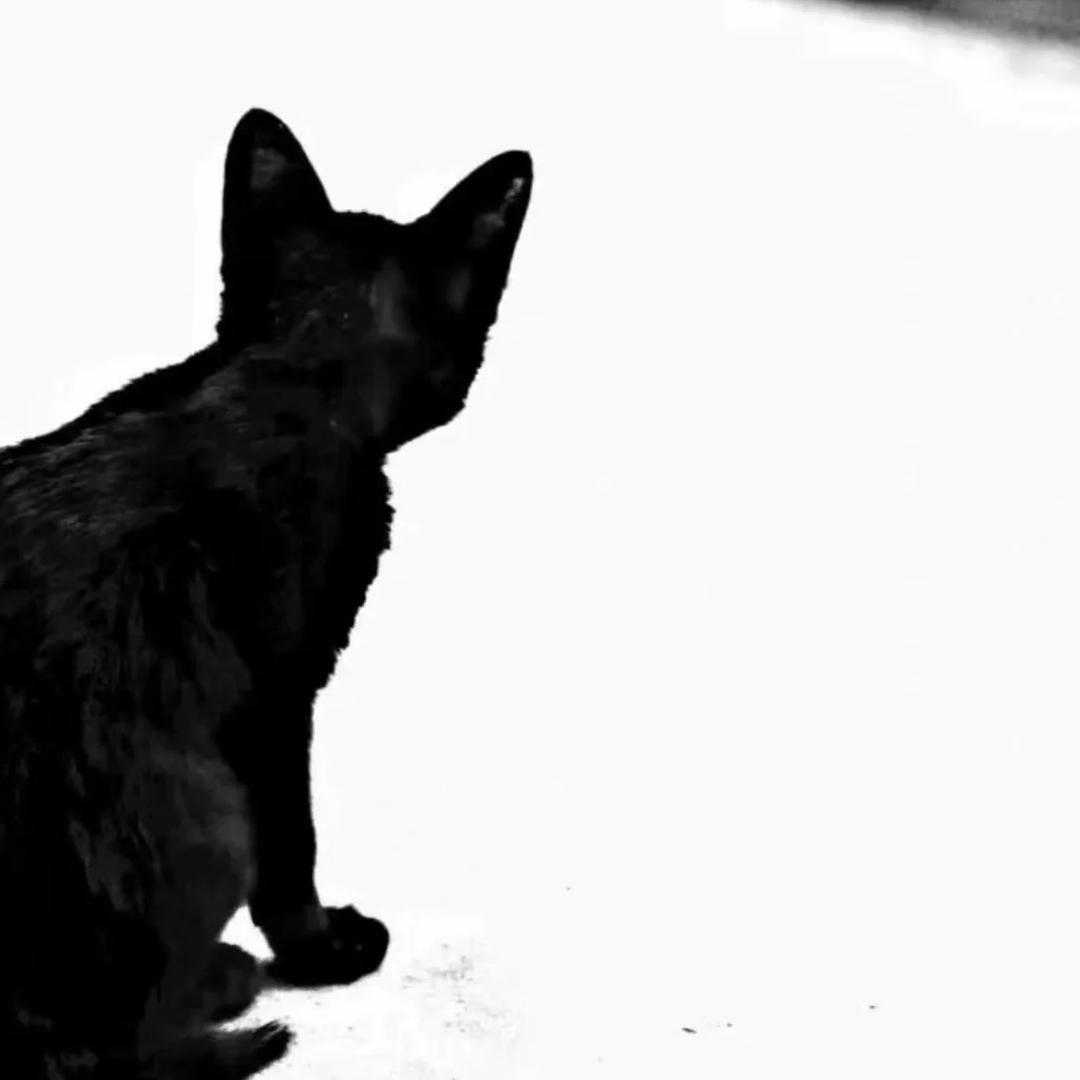 我是高手（无畏契约）