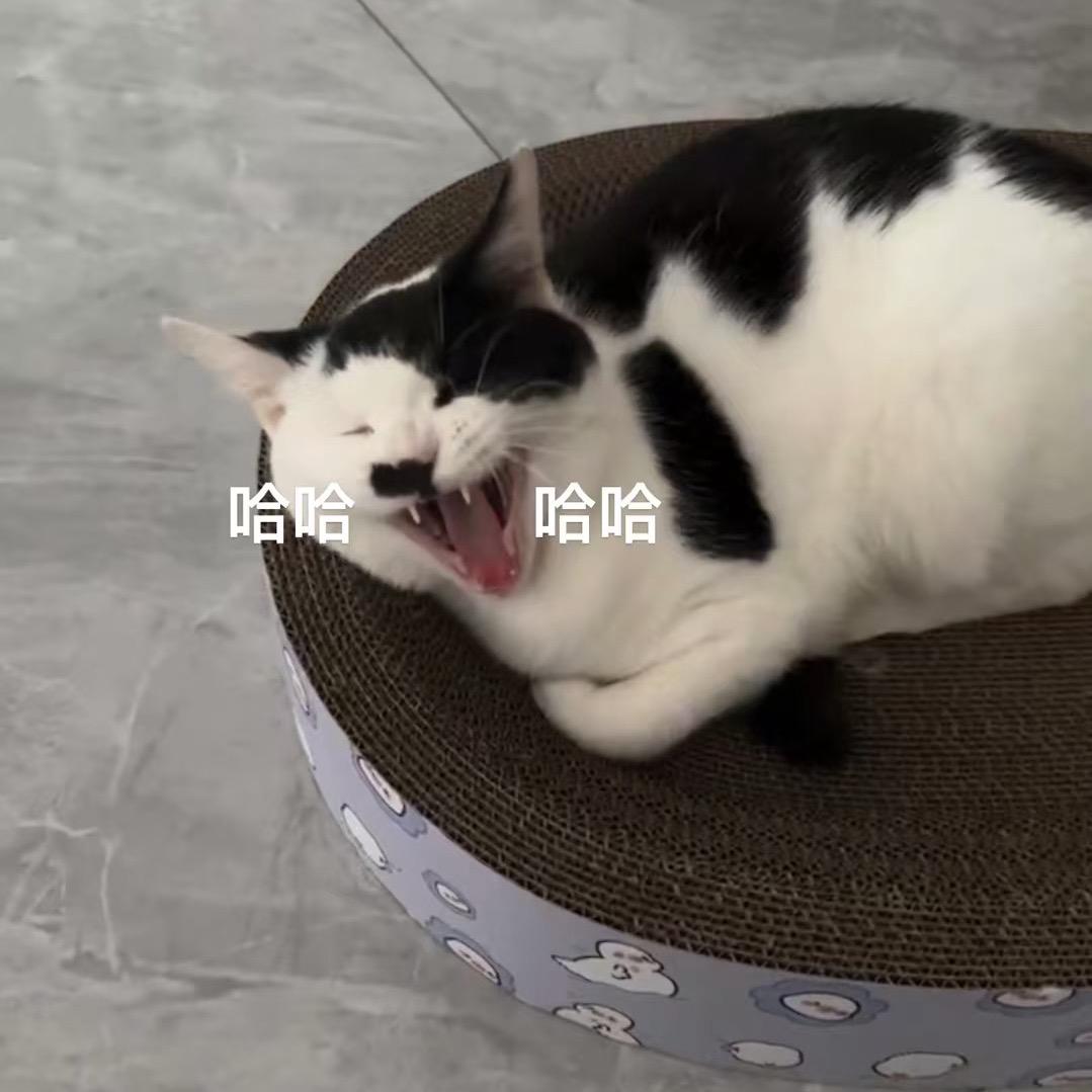 美式不苦