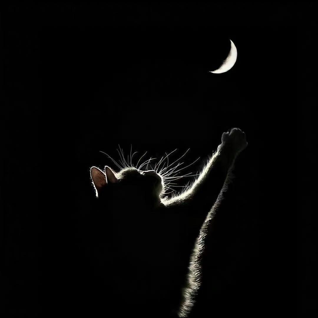 夜深