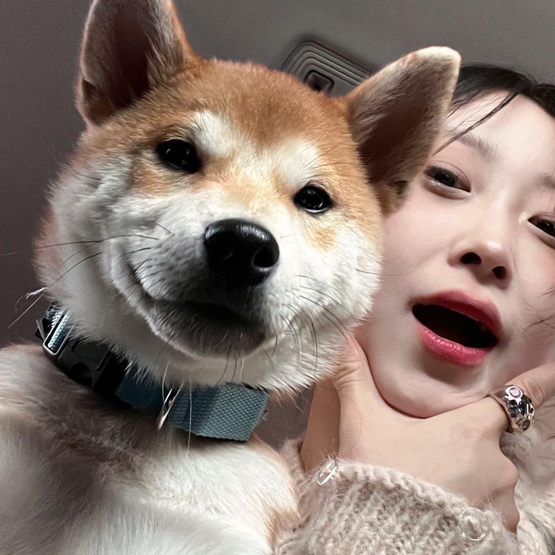 智贤欧尼酱穿搭