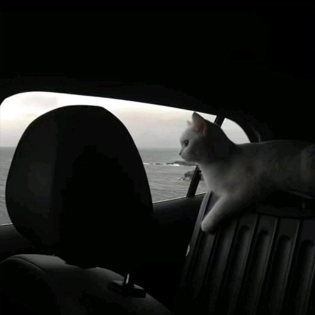 下次见面送花给你