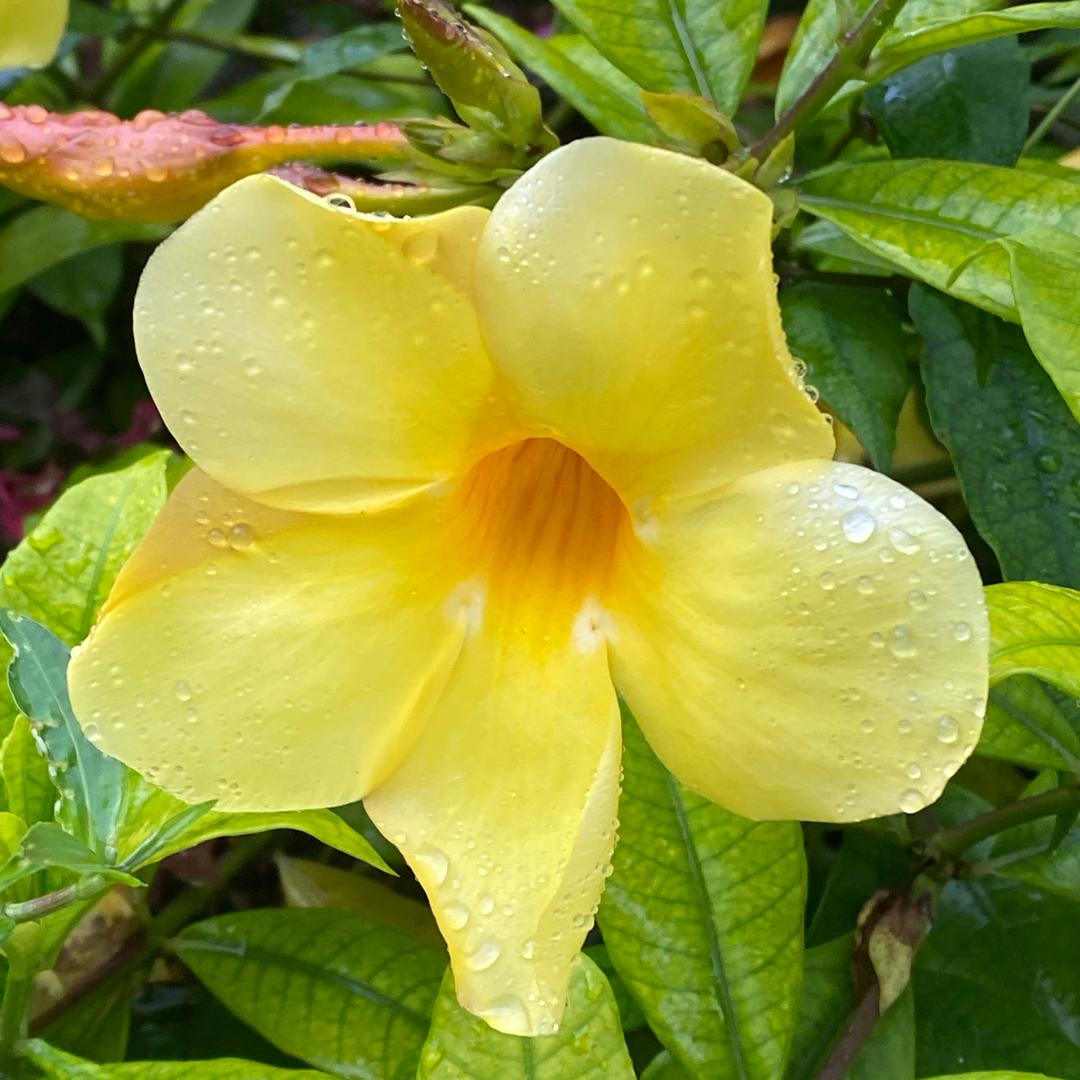 薄情🌾归零🌾