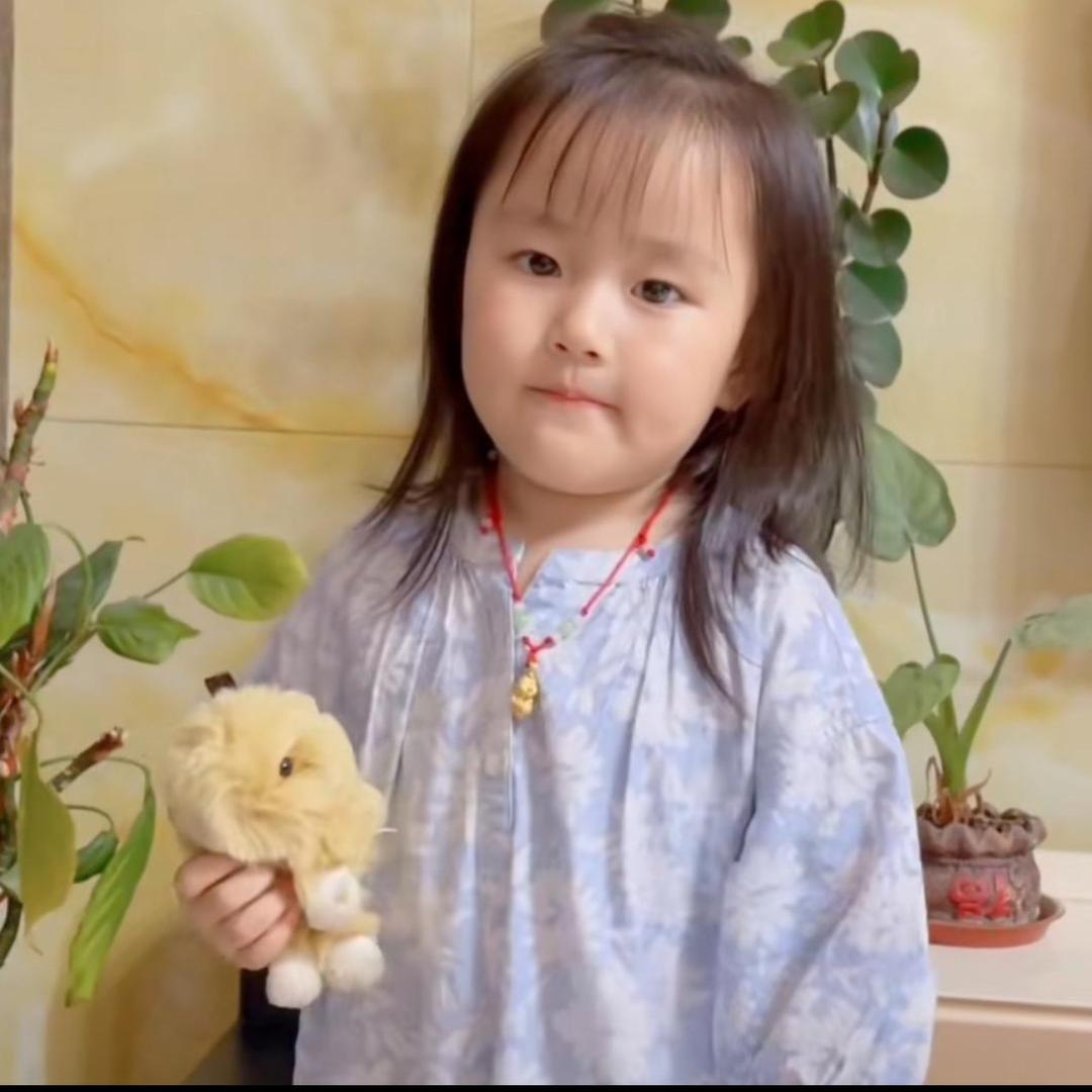 小二胎依宝