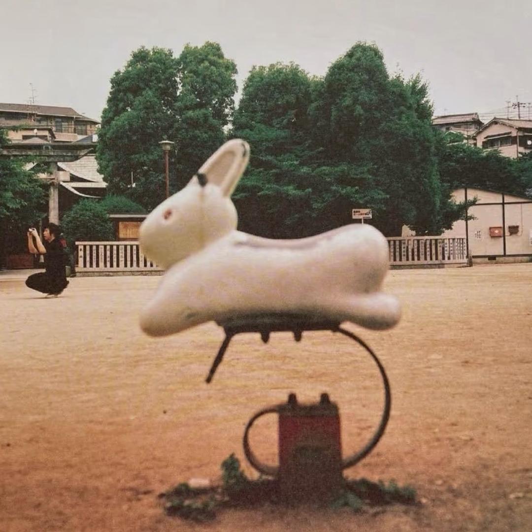 总裁已经很久没有笑过了🥕