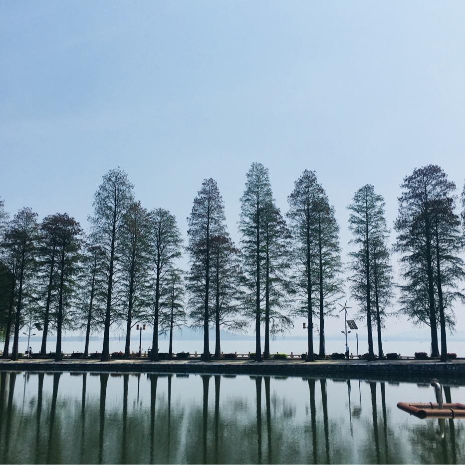 萌宠养殖