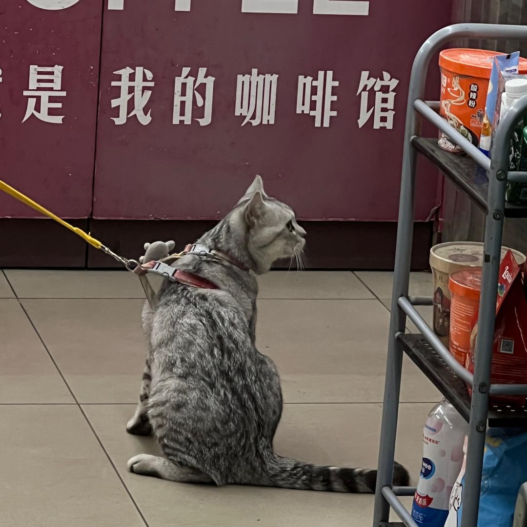 月盐
