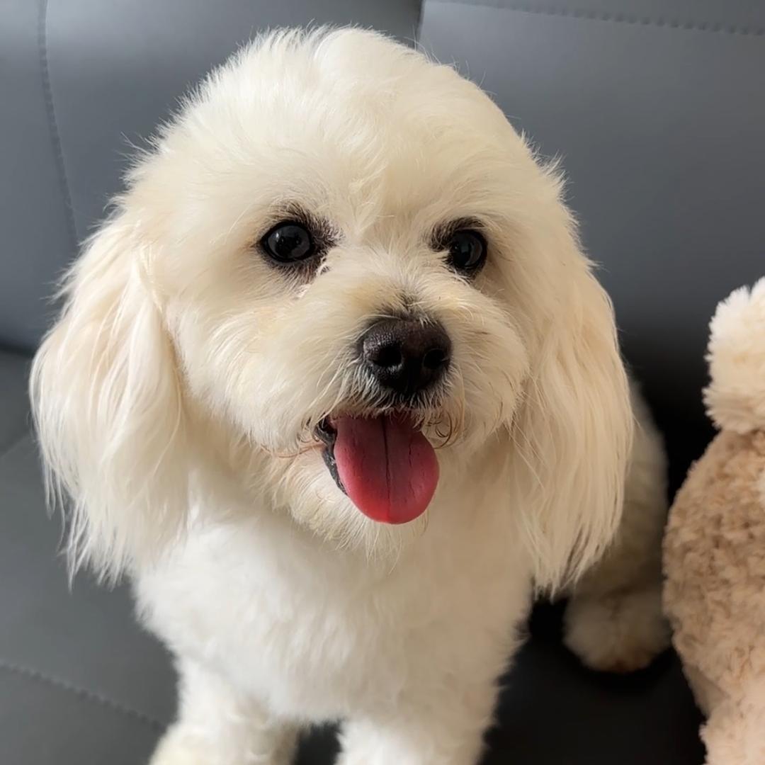 寒跳跳宠物优选