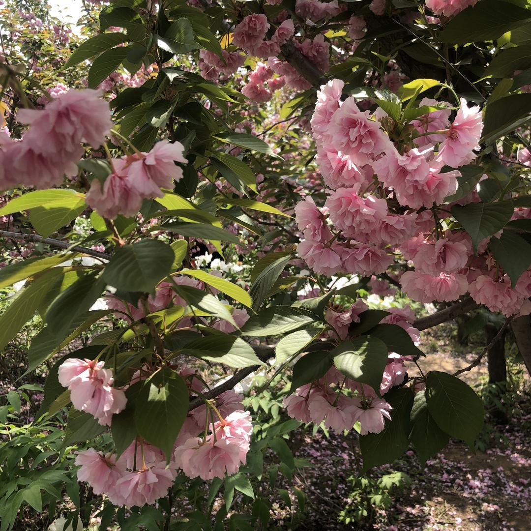 无情的世界.有情的人